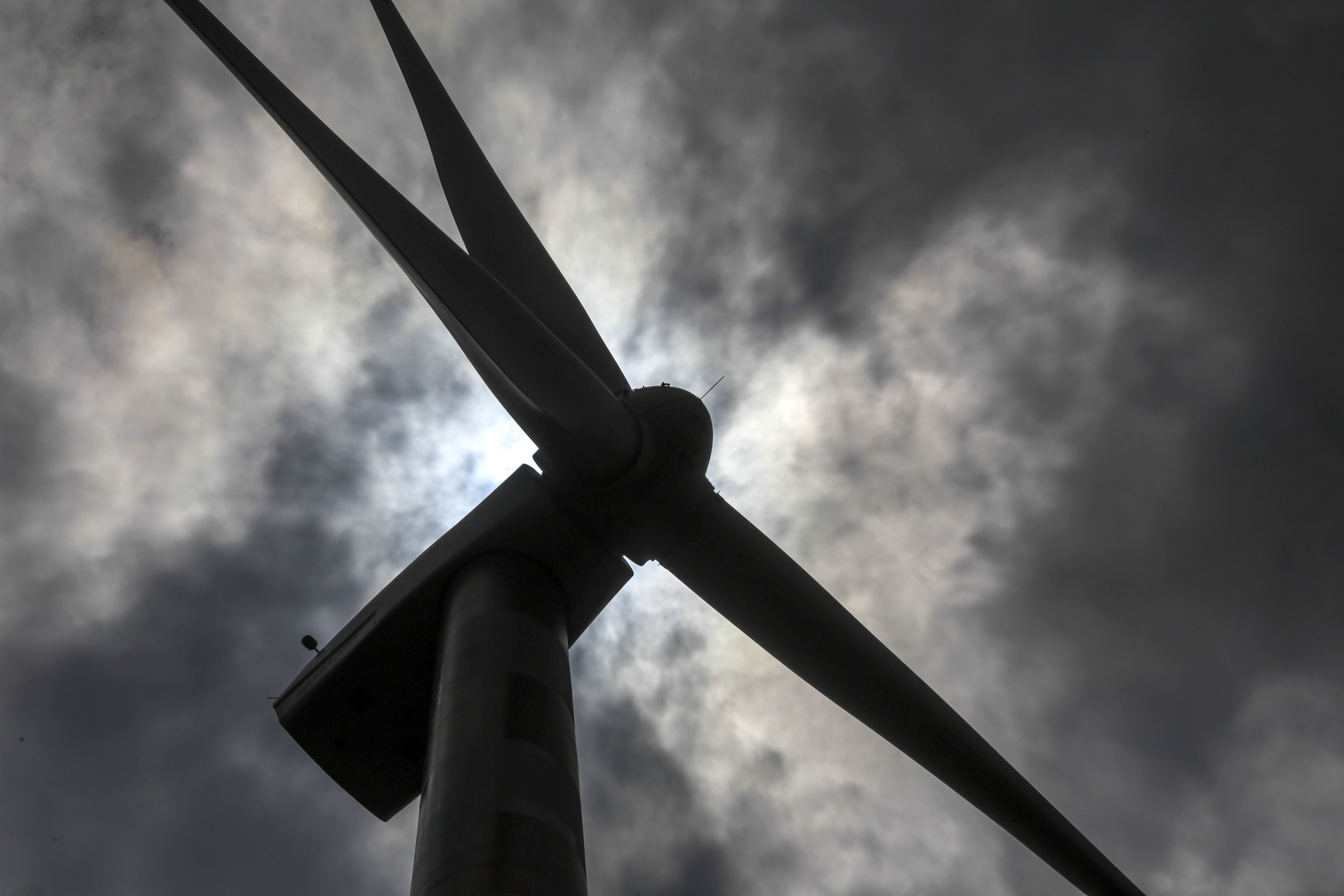 Governo Trump dispensa Total Energies de investir US$ 1 bi em eólica. Recursos serão redirecionados para exploração de óleo e gás