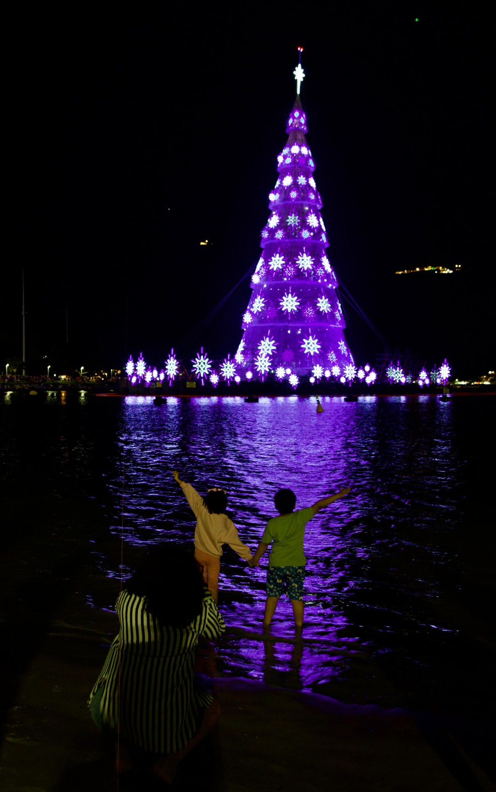 Nova árvore de Natal é inaugurada e já ilumina a Enseada de Botafogo — Foto: Guito Moreto / Agência O Globo