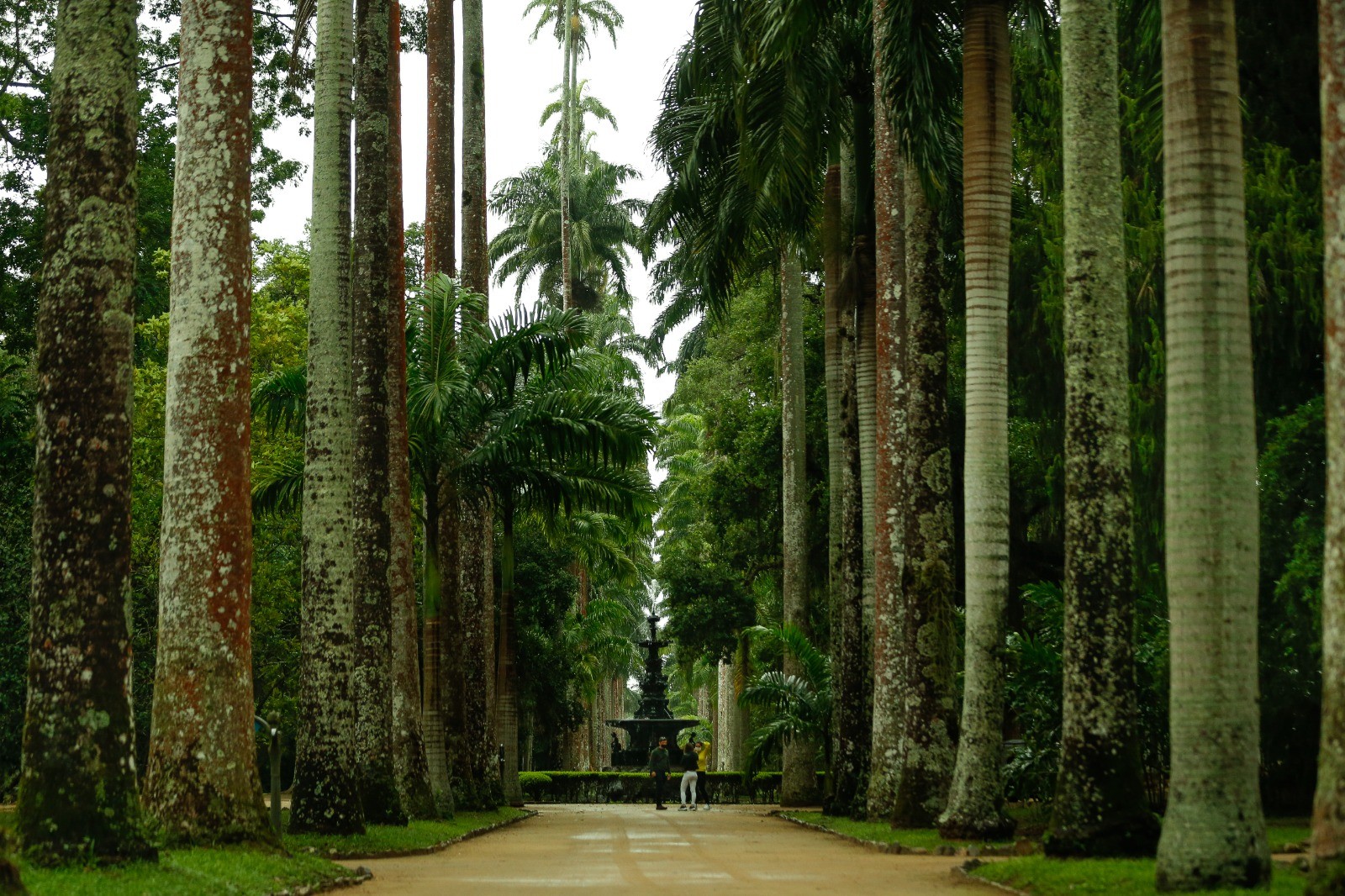 Jardim Botânico celebra aniversário com entrada gr