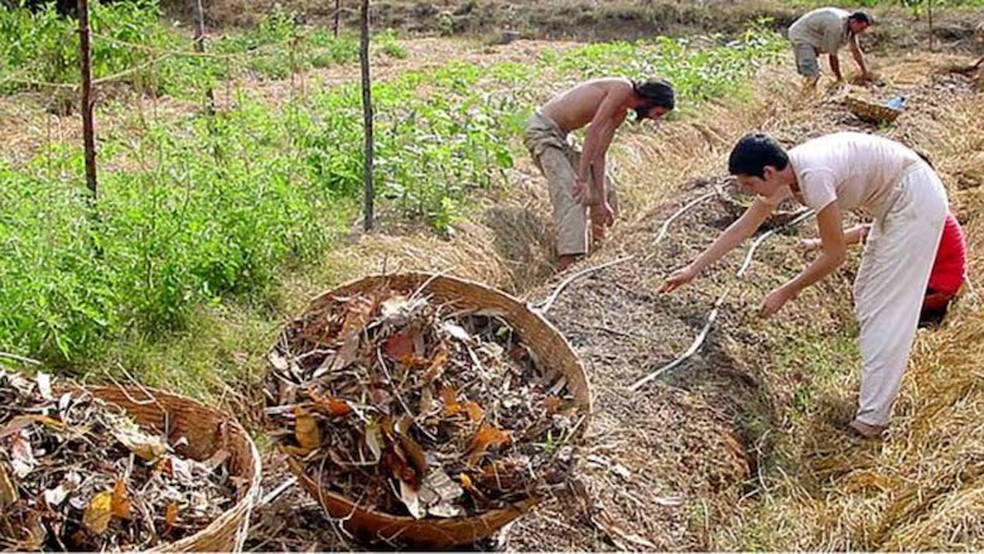 'Auroville': saiba como é viver na única cidade do mundo em que não há políticos e dinheiro — Foto: Reprodução