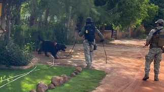 Policiais fazem varredura com cães atrás de detentos que escaparam de presídio em Mossoró — Foto: Foto Cedida / Blog Fim da Linha