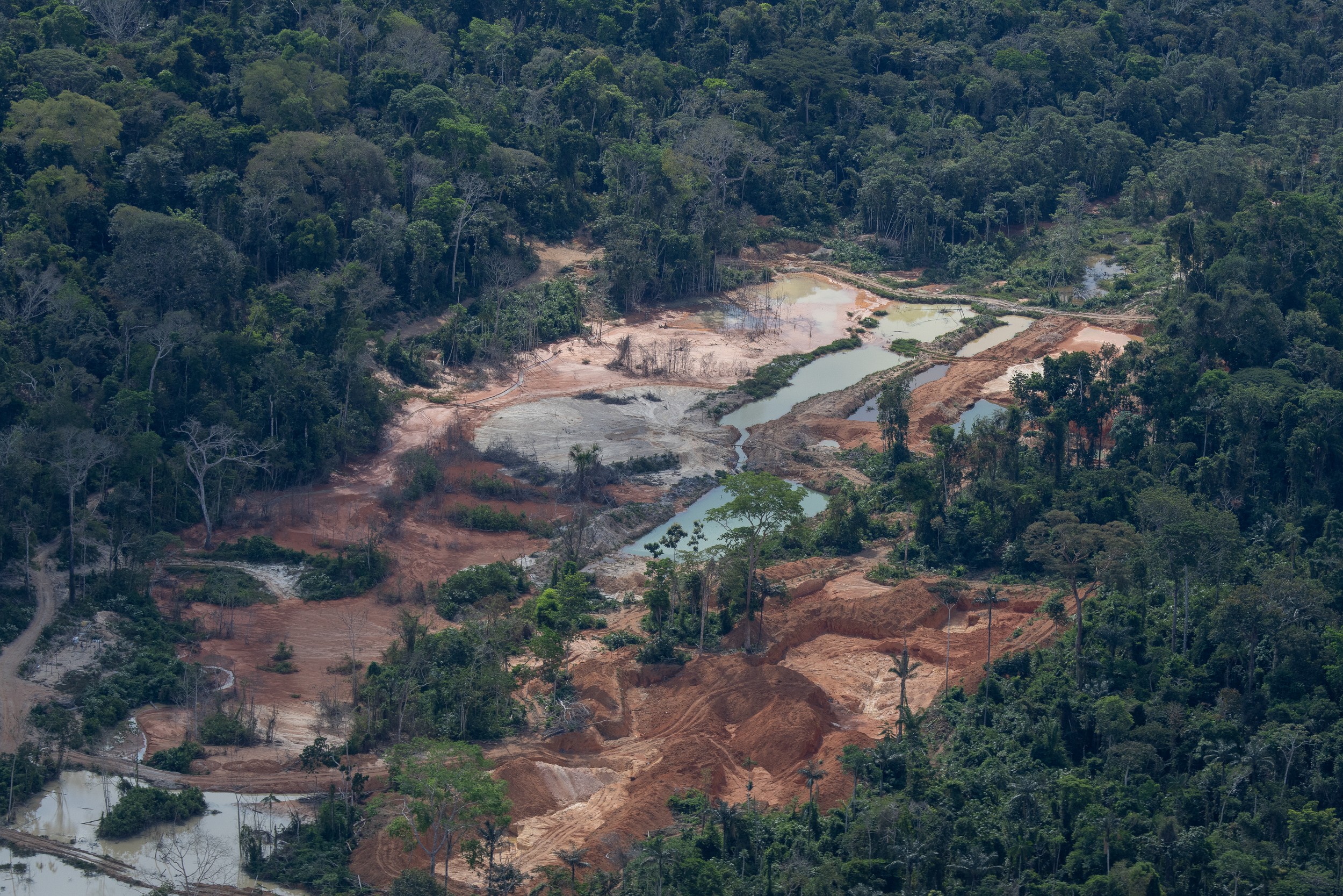 Projetos antiambientais podem avançar no fim desta legislatura; risco aumenta no próximo Congresso. Saiba o que está em jogo