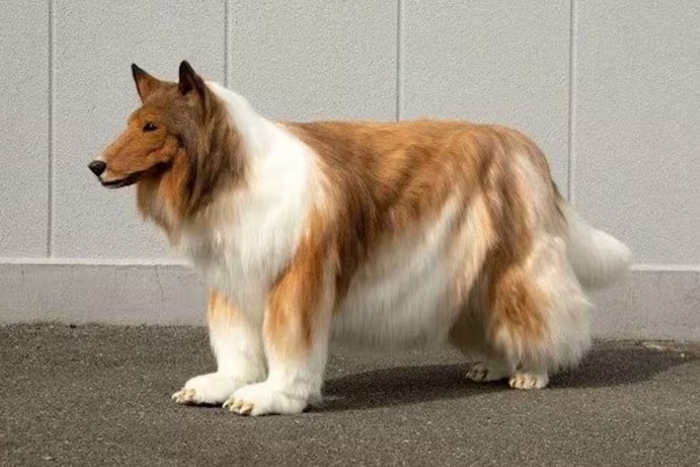 Toko, o homem japonês que viralizou em 2023 após gastar US$ 15 mil para se parecer com um cachorro. — Foto: Reprodução | Instagram