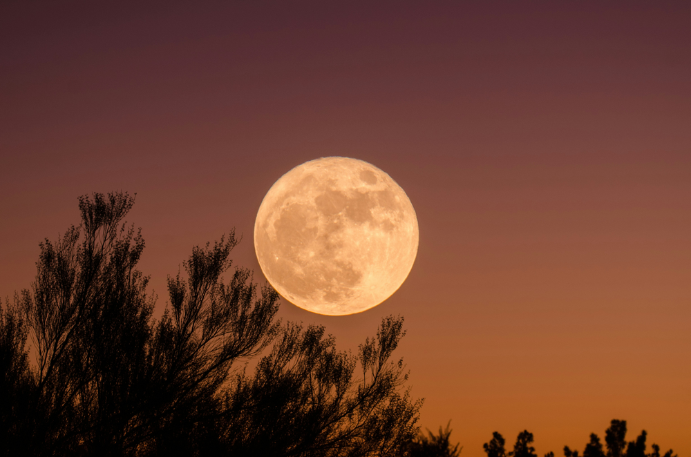 Lua do Veado: saiba como e quando será possível observar o fenômeno ...