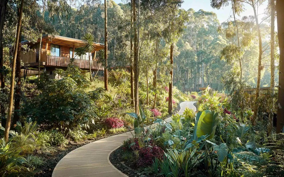 One&Only Gorilla’s Nest, em Ruanda — Foto: Reprodução / One&Only Resorts