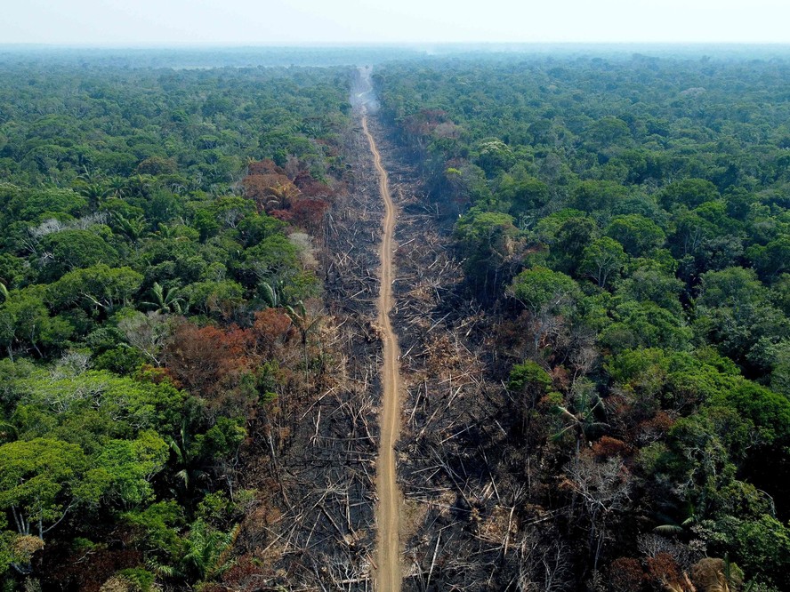 Rota do desmatamento em Humaitá, no Amazonas