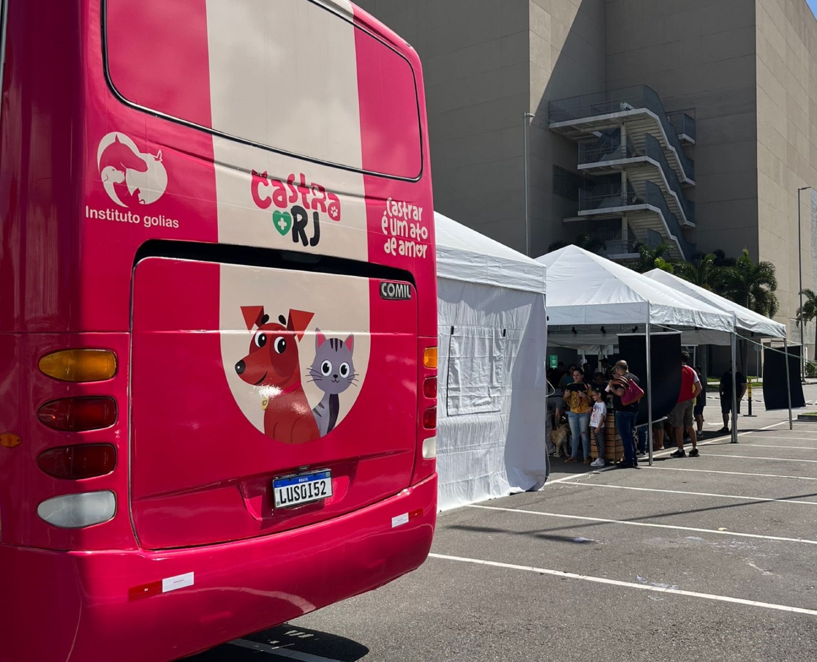 Shopping no Recreio terá castração gratuita de cães e gatos