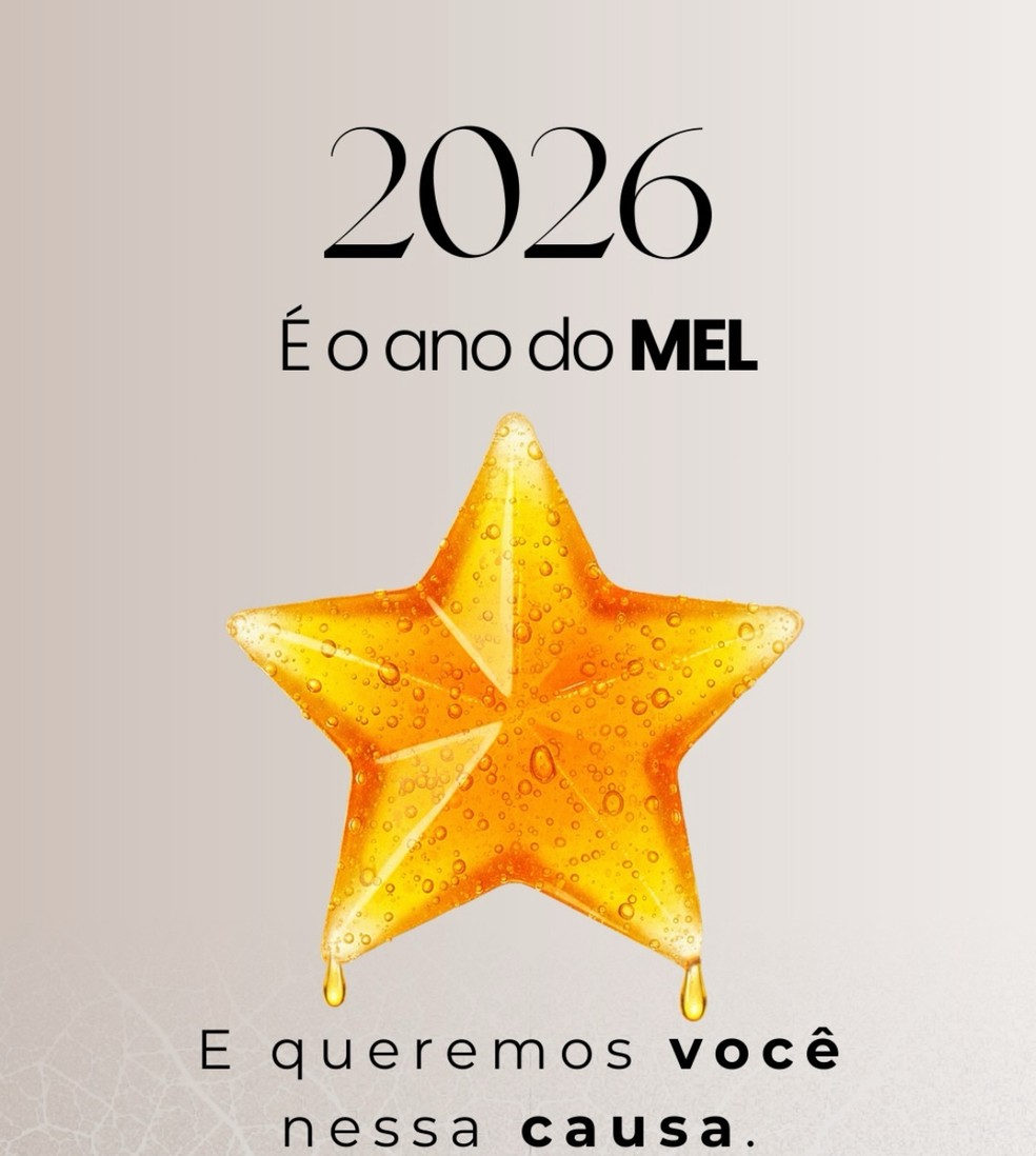 A campanha envolve produtores e chefs renomados de todo o Brasil: 2026 é o ano do mel — Foto: divulgação