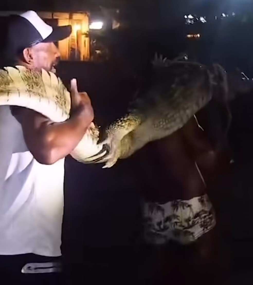 O pescador Marcos dos Santos e amigo carregando um jacaré após resgatá-lo nas Ilhas Tijucas — Foto: Reprodução/Instagram