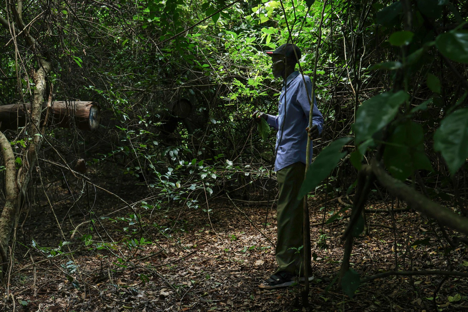 In 2013, Kenya revoked a mining permit granted to Cortec Mining Kenya due to environmental and permit irregularities — Photo: Tony Karumba/AFP
