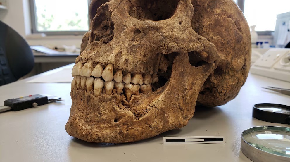 Mandíbula de 90 mil anos revela possível violência entre humanos