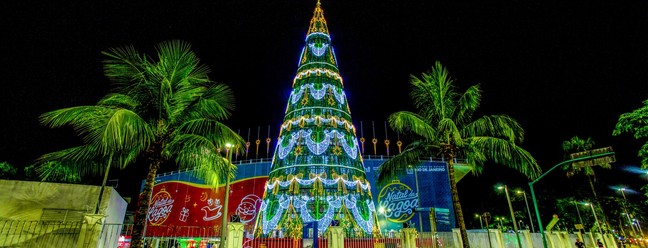 Traditional Lagoa tree, background, in the Lagoon – Photography: Alexandre Cassiano