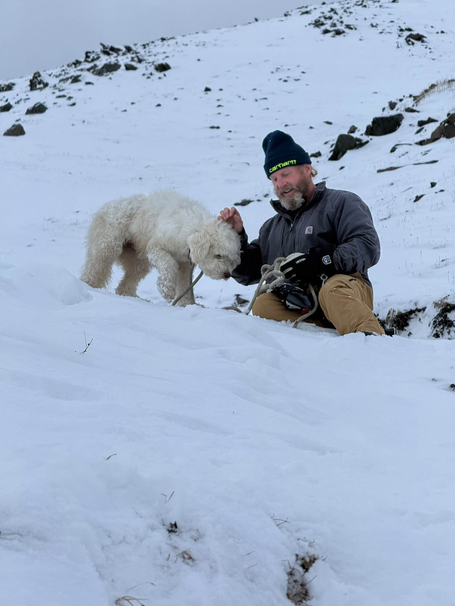 Cadela que desapareceu em avalanche é resgatada depois de dois dias; vídeo