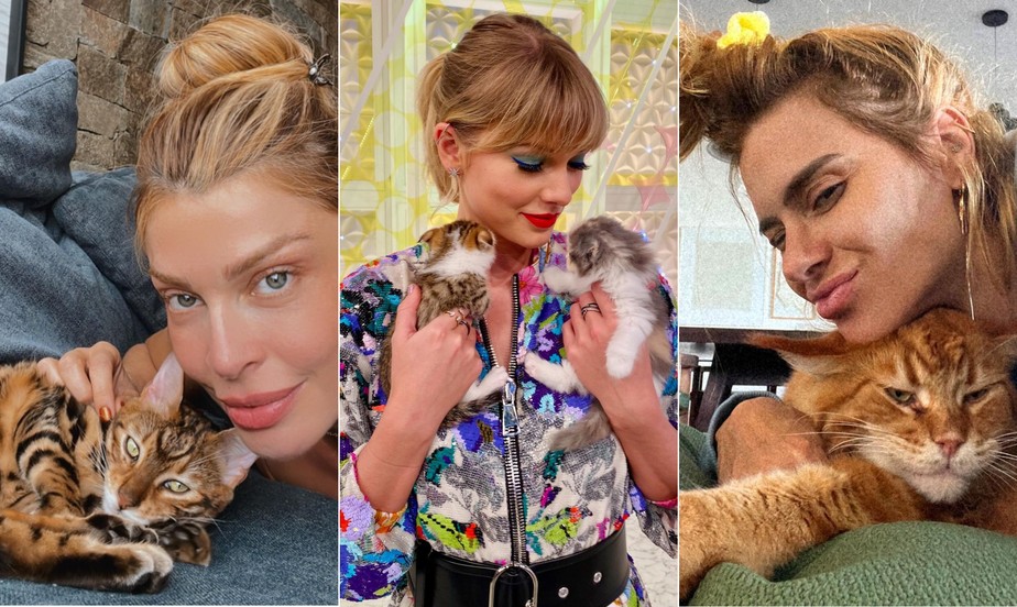 PetCenso destaca nomes de gatos inspirados em personagens famosos – Se Meu  Pet Falasse…