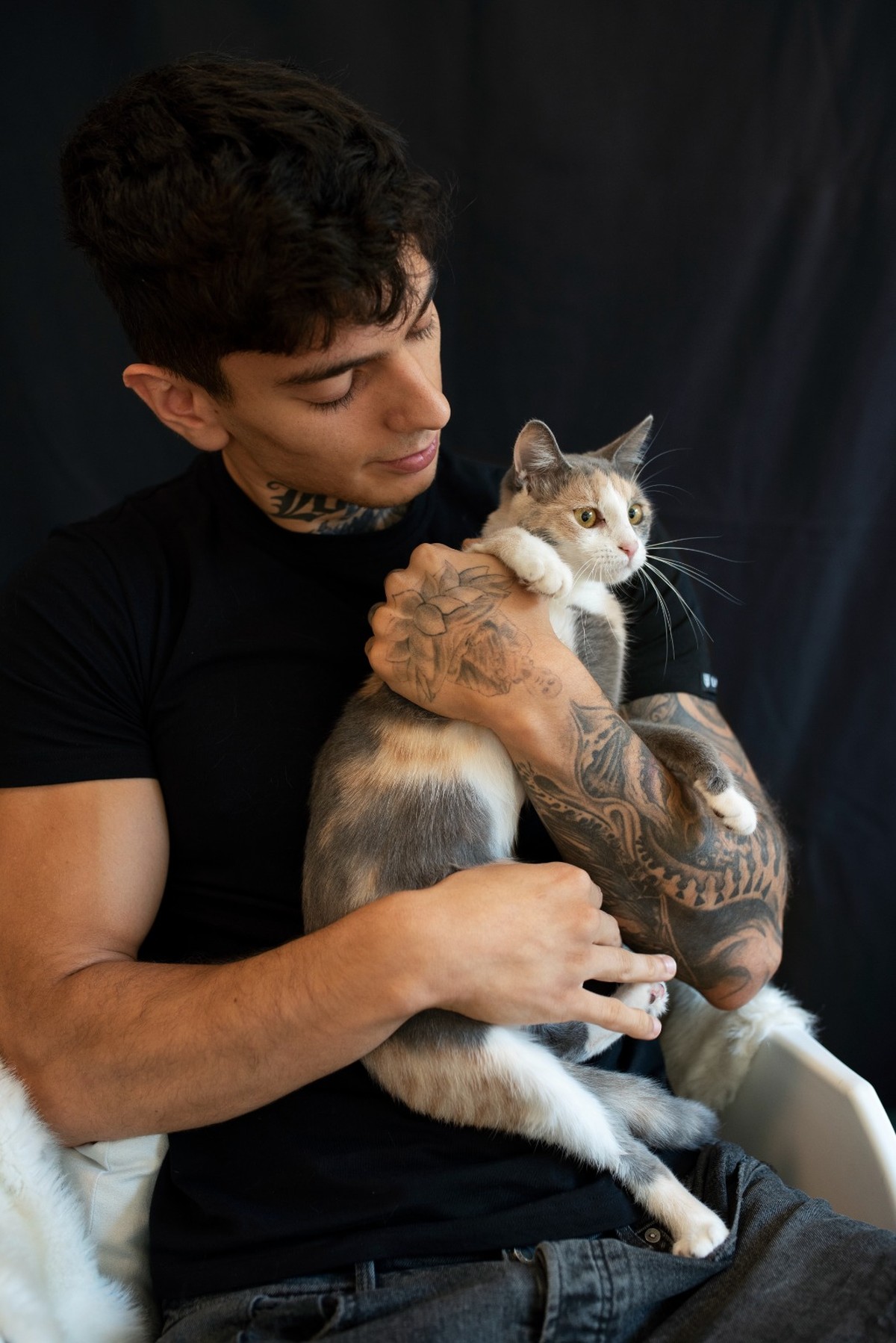 Quem adota mais gatos? Estudo britânico revela perfil dos tutores de ...