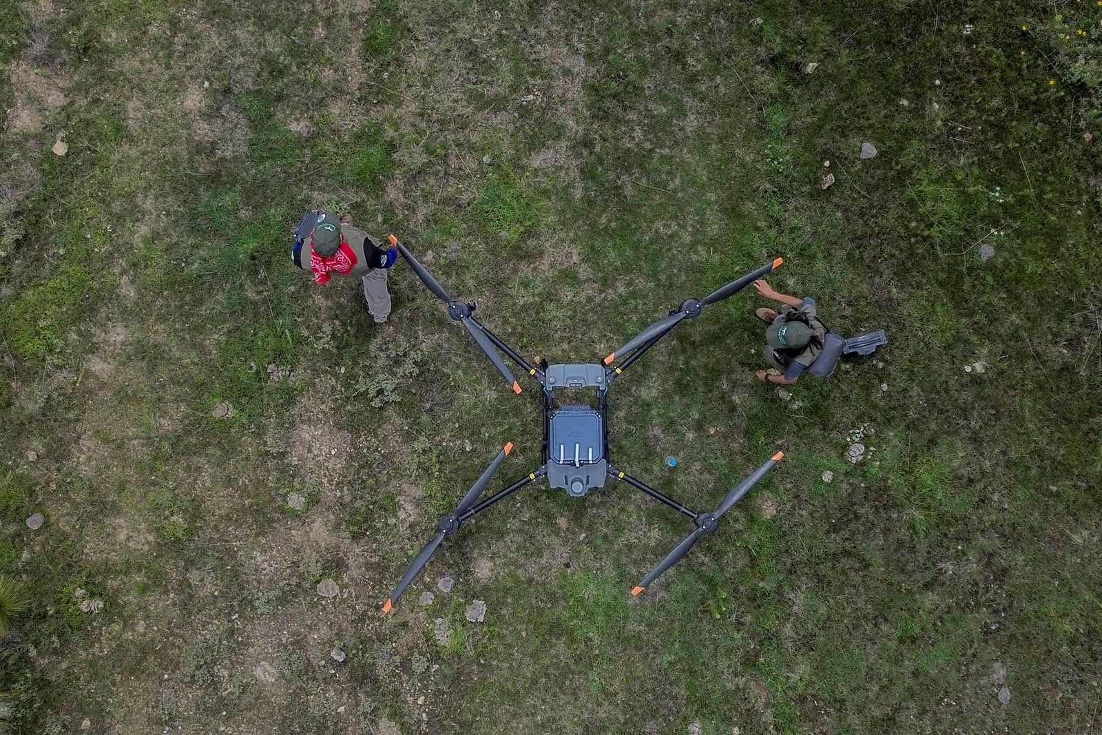 As autoridades do programa estão utilizando drones para reflorestar, capazes de transportar até 20kg de sementes para dispersá-las na área afetada — Foto: Enrique Castro/AFP