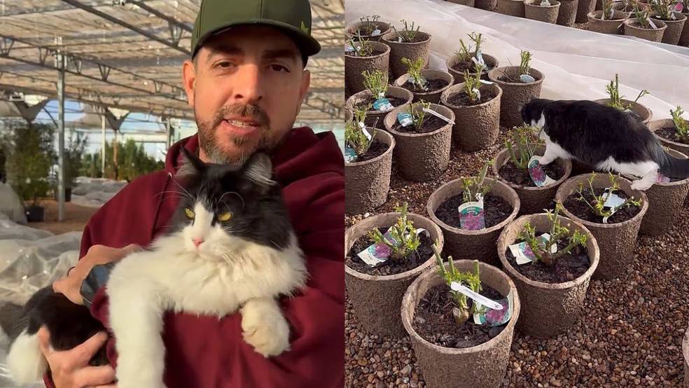 Sylvester e seu tutor Michael Fiore — Foto: Reprodução/X/Michaelfiore