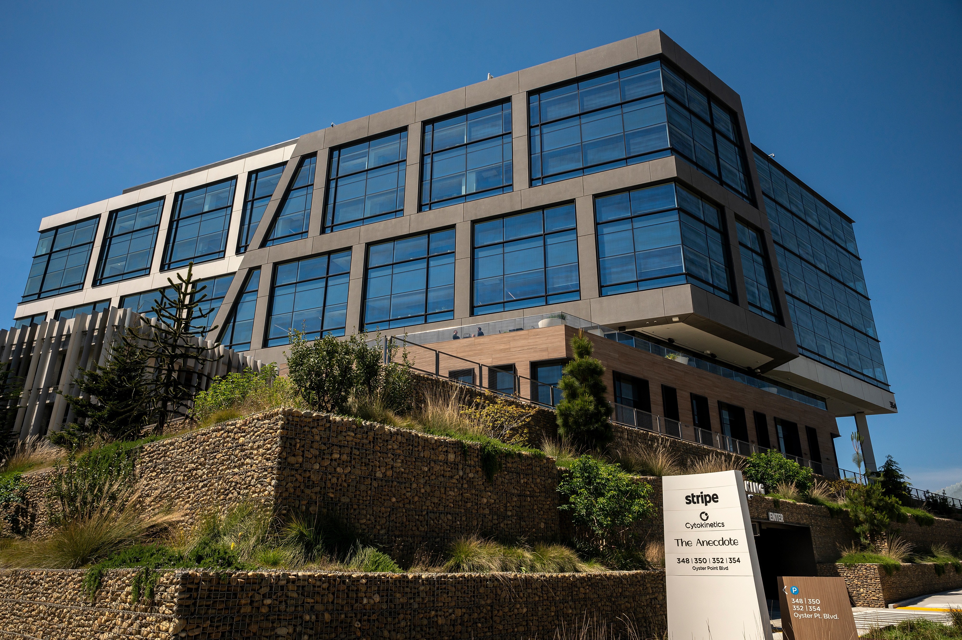 Open Standard une empresas financeiras nos EUA para criar moeda digital lastreada no dólar