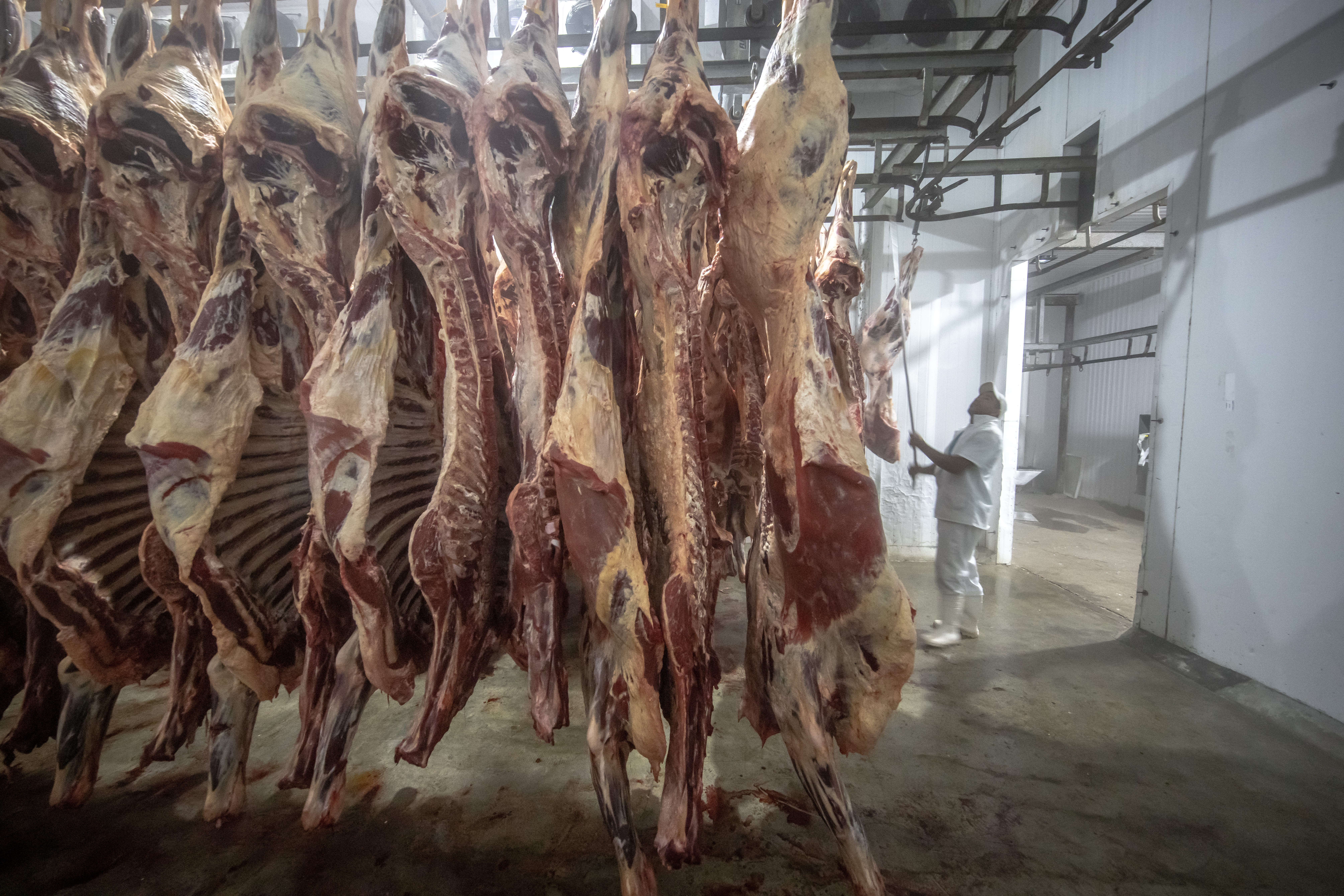 Agenda Global: Balança comercial brasileira registra US$ 23 bilhões de superávit mesmo com tarifaço