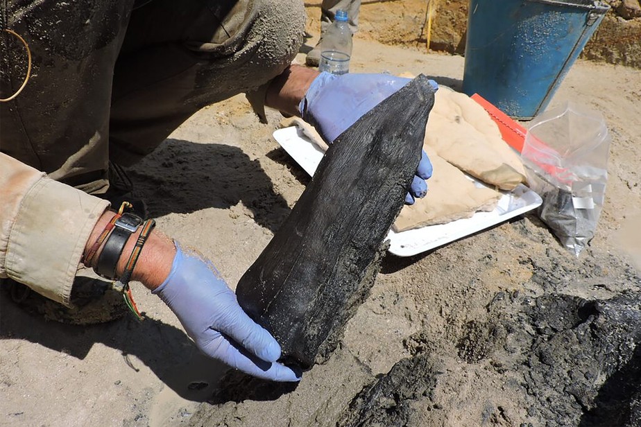 Arqueólogos encontram indícios de primeira guerra da humanidade