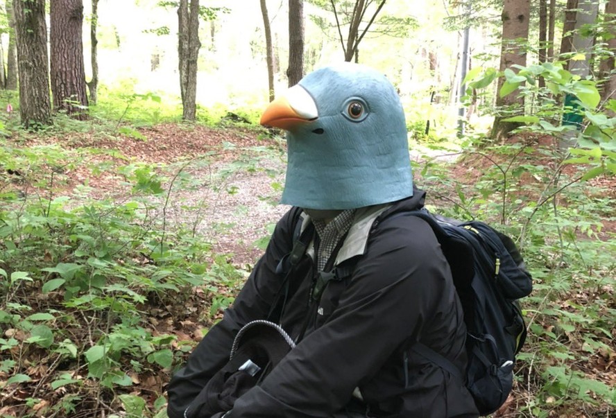 Cientista se veste de pombo por um ano para tentar se aproximar da espécie no Japão