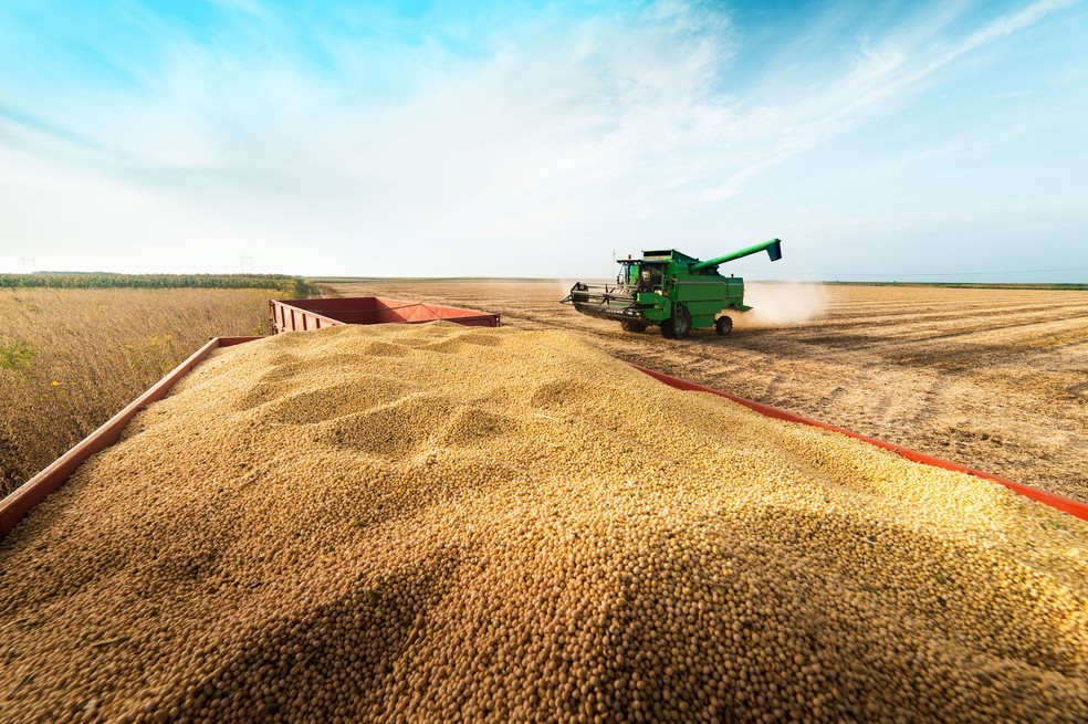 Grupo do agro aprova recuperação judicial com deságio de 85% - QTU Questões do Universo