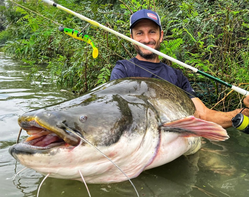Pescador italiano quebra recorde mundial com bagre de quase 3 metros