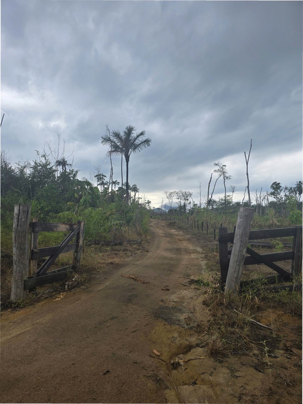 Trilha de terra em Mucajaí, onde prefeitura deveria ter usado recurso para construir estrada — Foto: Reprodução/TCU