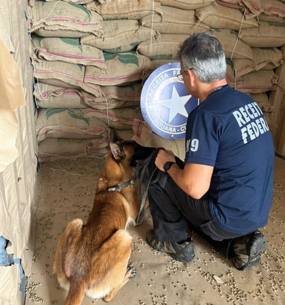 Cão e agente da da Receita Federal durante a operação que apreendeu 1,3 tonelada de cocaína — Foto: Divulgação/Receita Federal