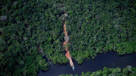 ‘Opep das florestas’ terá de tornar real a promessa ambiental