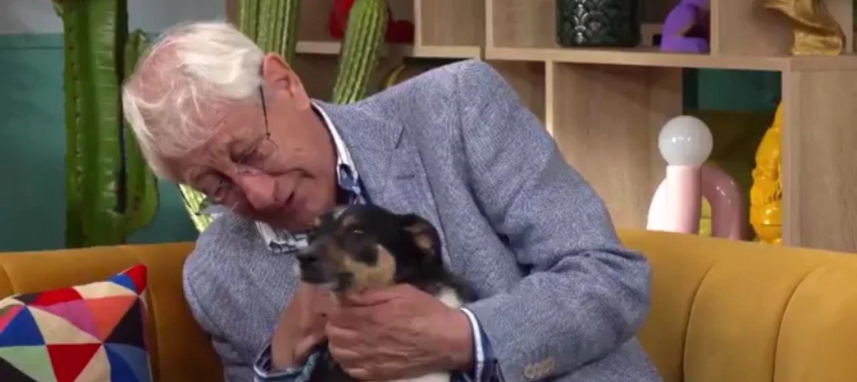 'Quero encontrar uma família para cuidar do meu cachorro porque não consigo mais': idoso comove as redes sociais com sua despedida