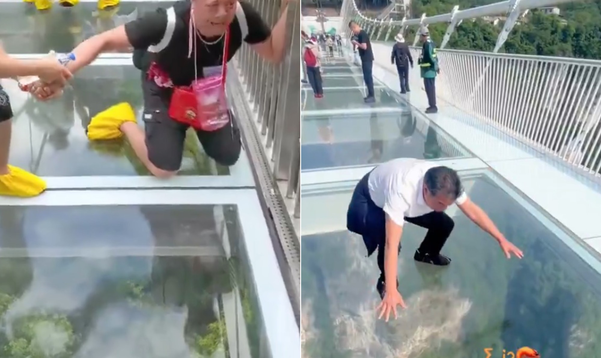 'Melhor não olhar': ponte de vidro na China vira 'teste' de coragem para turistas; entenda