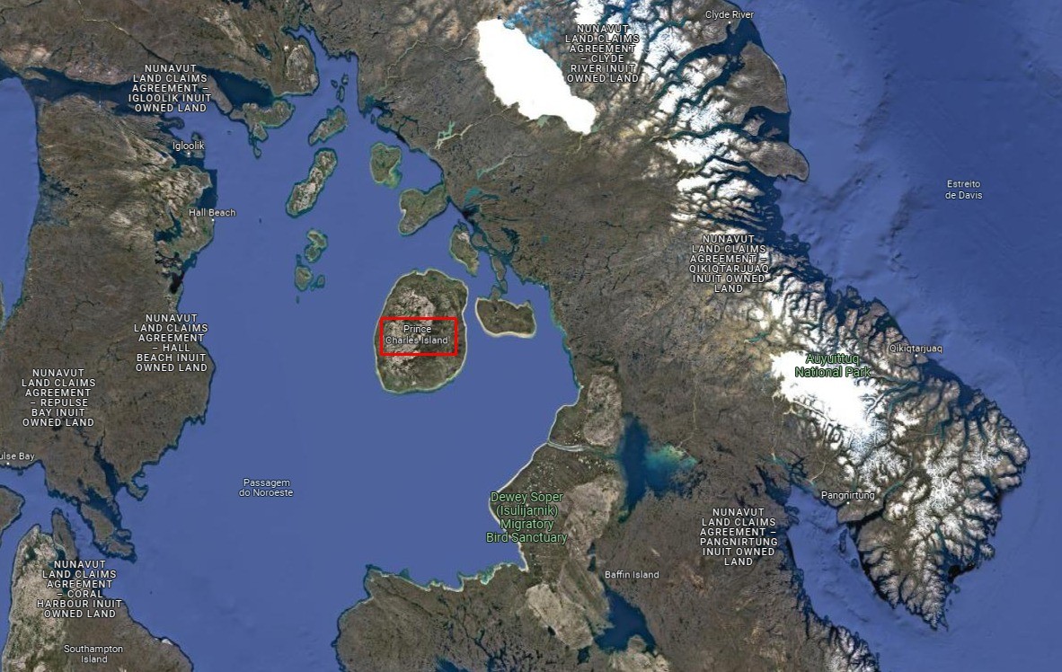 Ilha Príncipe Charles, no Canadá — Foto: Reprodução/Google Maps