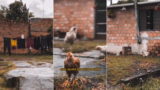 Área externa da casa de Matteus, do 'BBB' 24. O brother fala com carinho sobre a residência em que vive com a mãe e a avó — Foto: Reprodução/Redes sociais