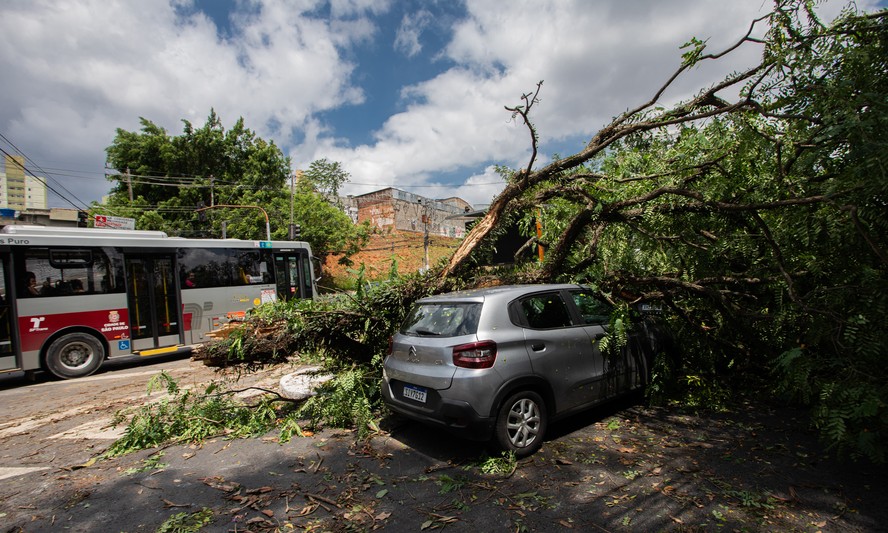 Queda de árvore no bairro Campo Limpo, na Zona Sul da capital paulista: para além do apagão, temporal gerou transtornos em serviços, falta d’água e deixou um rastro de sete mortes, a maioria por desabamentos de troncos e até de um muro