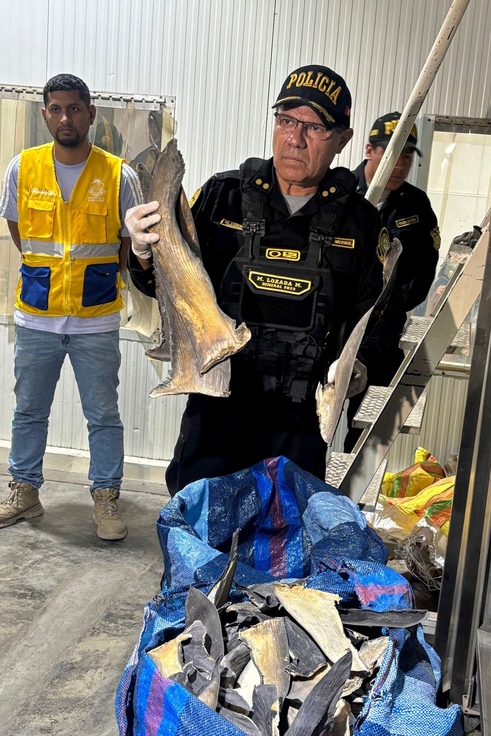 Mais de seis toneladas de barbatanas de tubarão, avaliadas em US$ 8 milhões, são apreendidas no Peru — Foto: Policía Nacional del Perú/AFP