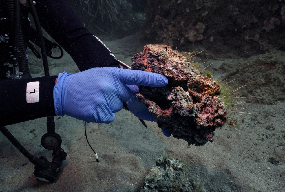 As cores no fundo do mar sugerem atividade microbiana — Foto: New York Times