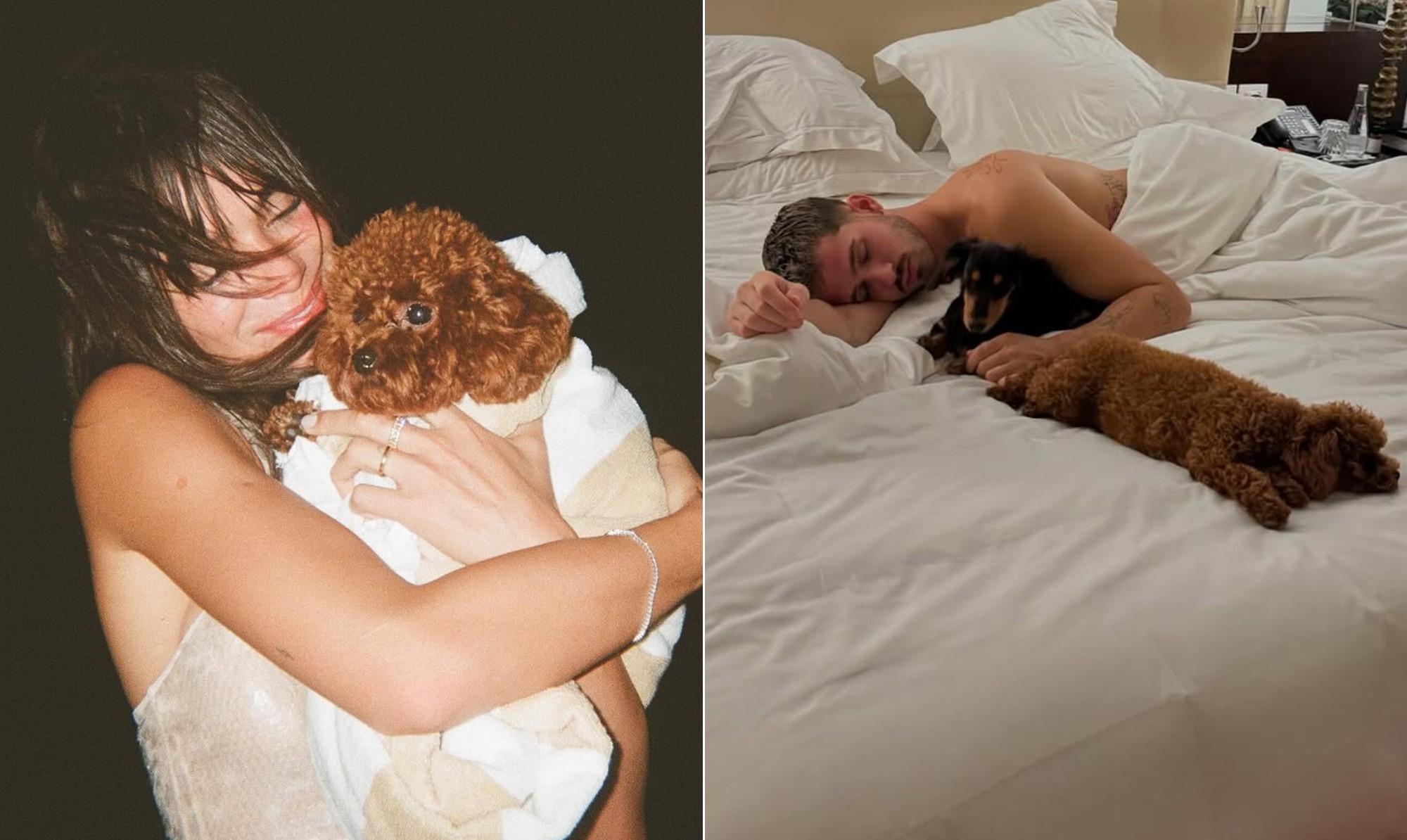 Em namoro com Shawn Mendes, Bruna Marquezine mant&eacute;m guarda compartilhada de pets com exs; entenda