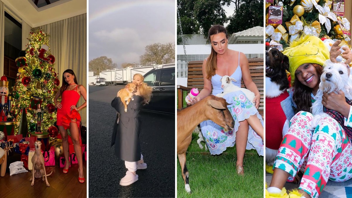 De Sabrina Sato, Demi Moore a Luísa Sonza: confira dez celebridades que estão curtindo as festas de fim de ano com pets