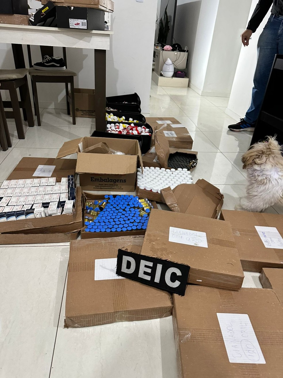 Quadrilha que falsificava Ozempic e anabolizantes &eacute; alvo de opera&ccedil;&atilde;o policial em SC e GO &mdash; Foto: Divulga&ccedil;&atilde;o