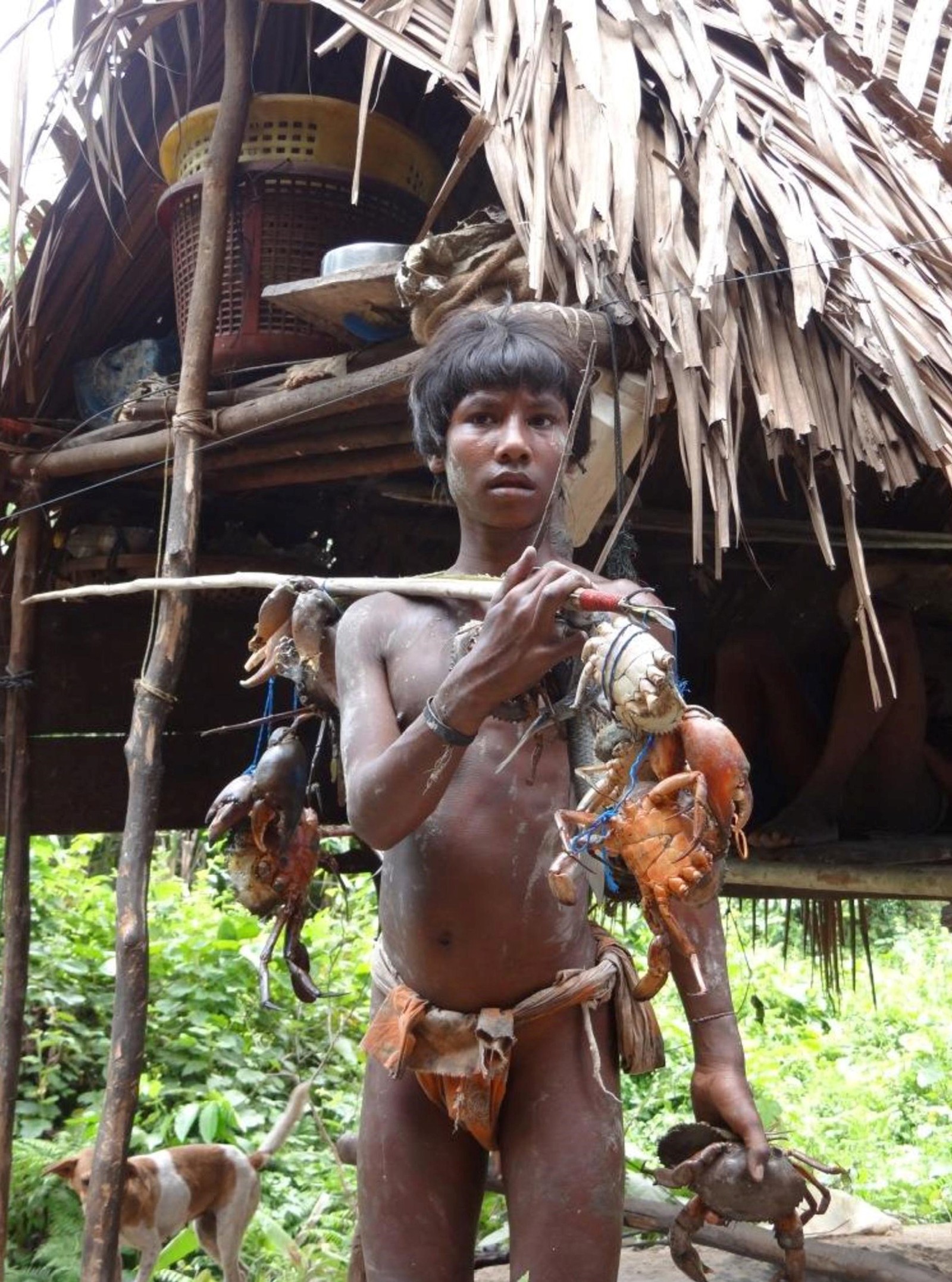 Criança de povo isolado da Indonésia segura instrumento de caça junto a animais capturados — Foto: Ketan Patel/Survival
