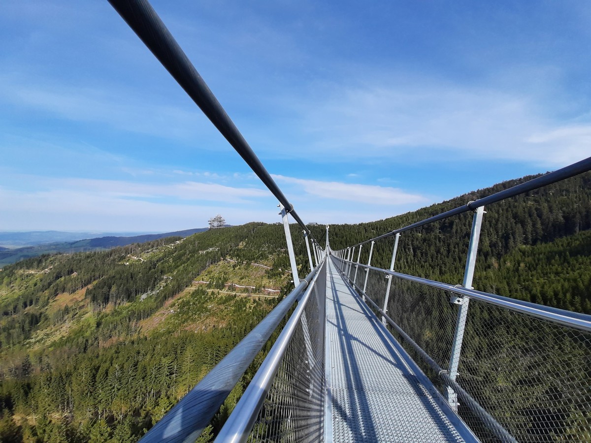 Vídeo: Maior ponte suspensa do mundo é inaugurada na República Tcheca