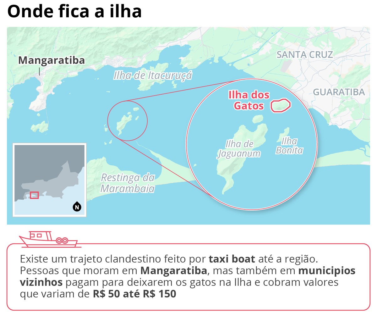 'Ilha dos Gatos', no litoral do Rio: entenda em seis tópicos questões ambientais e de saúde envolvidas