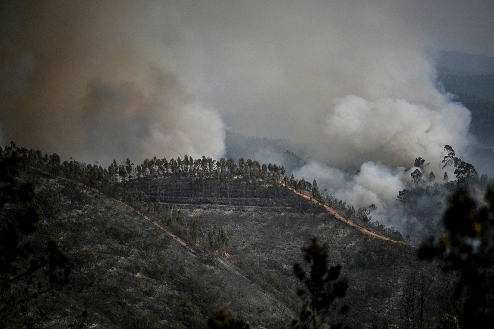 Colunas de fumo sobem de incêndio florestal em Odeceixe, sul de Portugal, em 8 de agosto de 2023 — Foto: Patricia DE MELO MOREIRA / AFP