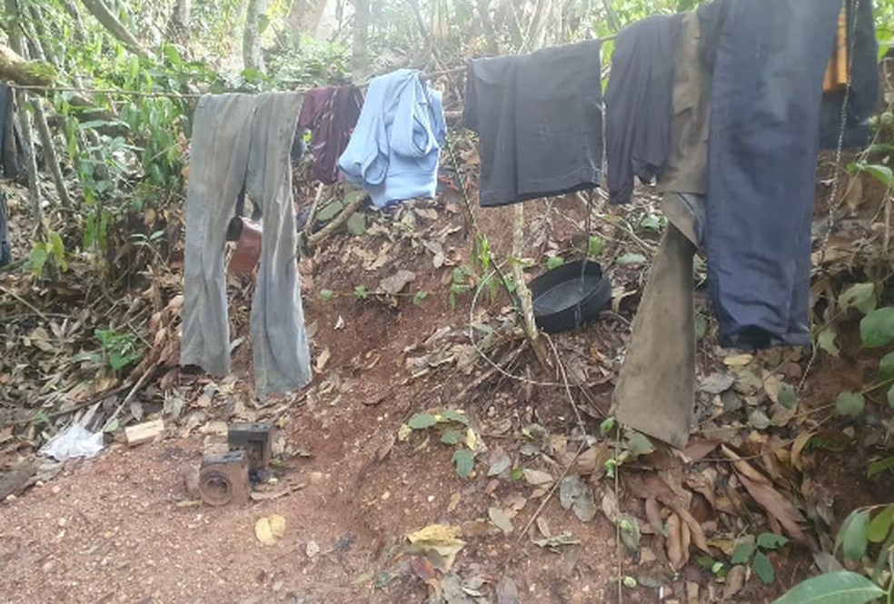 Trabalhadores foram resgatados em fazenda de MT — Foto: MTE