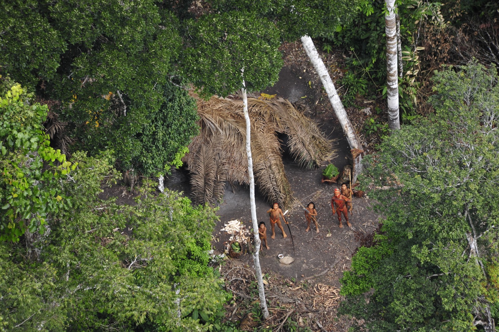 Povo isolado da Amazônia visto de cima — Foto: Ketan Patel/Survival