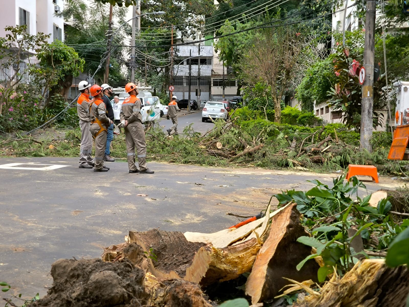Árvore Gigante Cede e Deixa Bairro Carioca Sem Luz