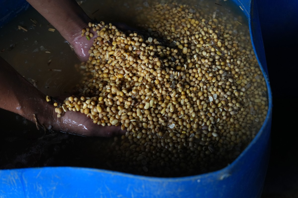 Suspensão de carregamento de soja para China será resolvida em breve, diz governo