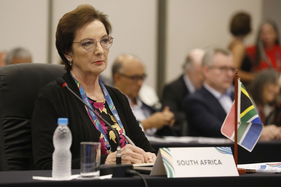 Stephanie Burton, presidente interina da Academia de Ciências da África do Sul, no Science20 — Foto: Marcos André Pinto / Divulgação ABC