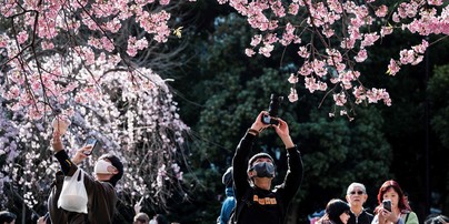 Tóquio bate novamente recorde de surgimento antecipado das flores ...